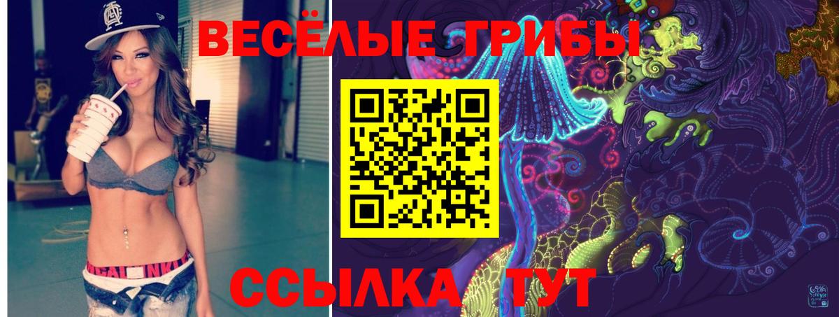 Бахчисарай  Галлюциногенные грибы Psilocybe  Вход с VPN 